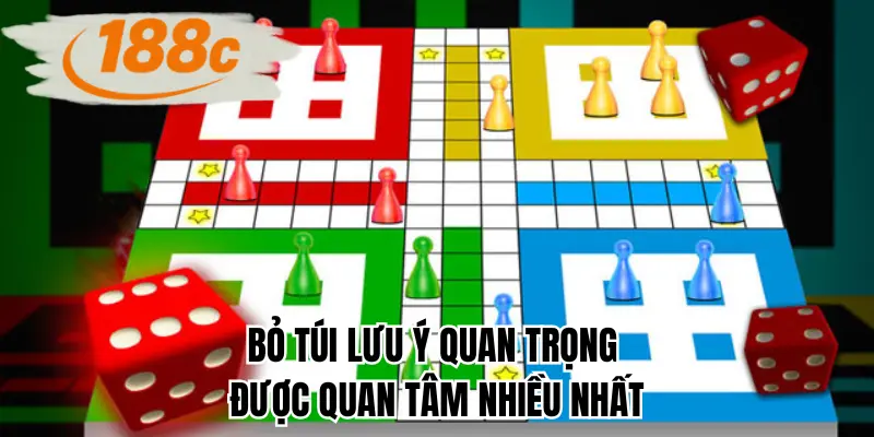 Bỏ túi lưu ý quan trọng được quan tâm nhiều nhất