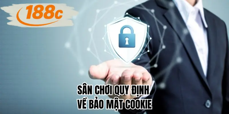 Sân chơi quy định về bảo mật cookie